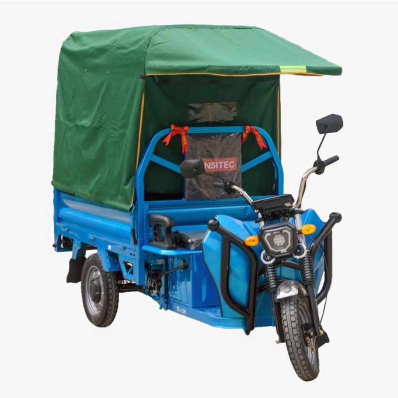 Triciclo de carga techado