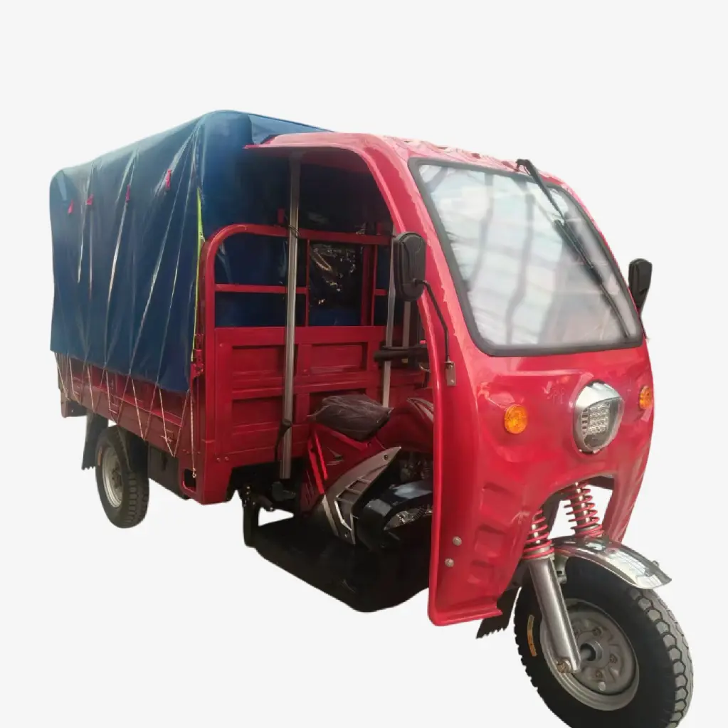 Triciclo de Combustión 10-12 pasajeros