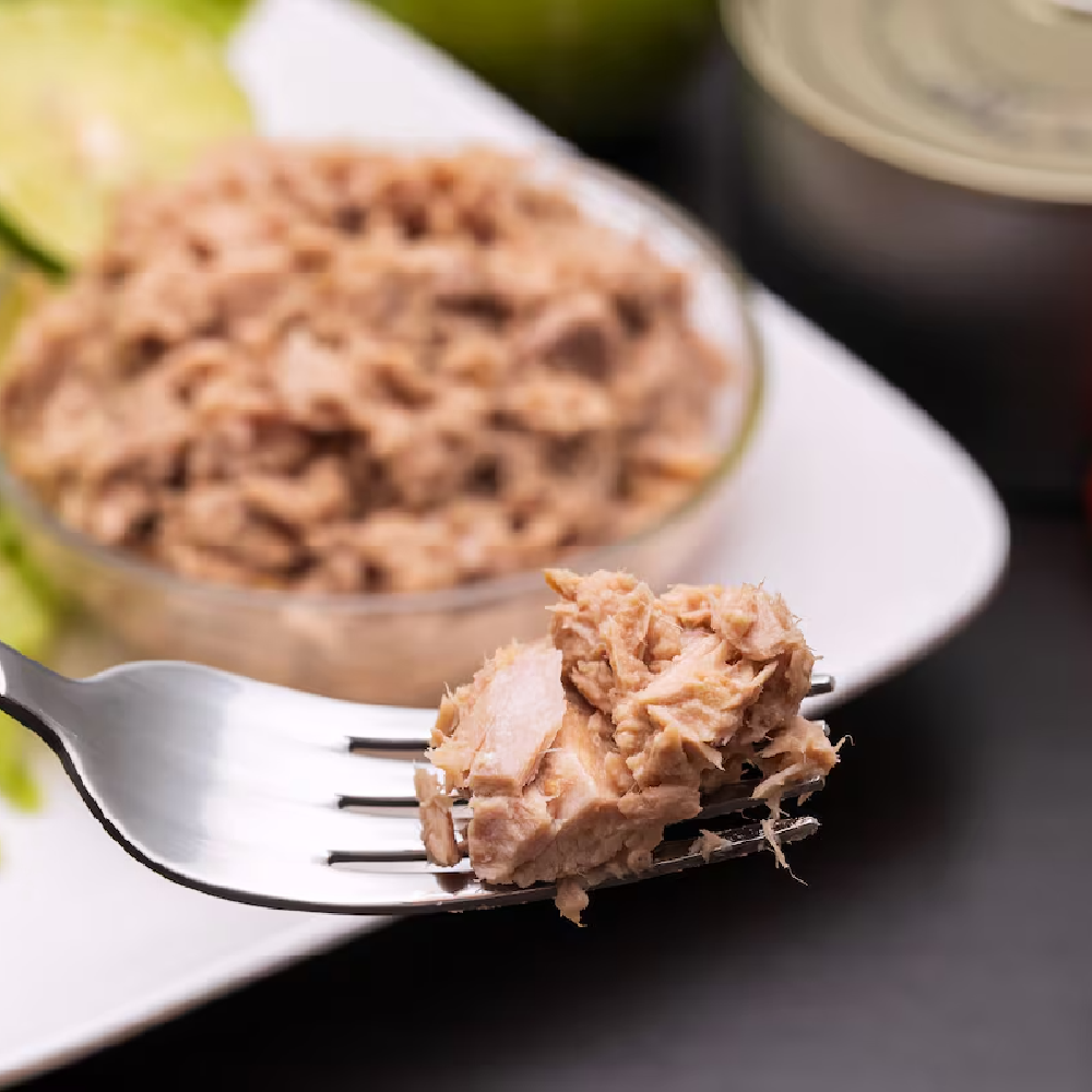 Trozo de atún en aceite 1000g