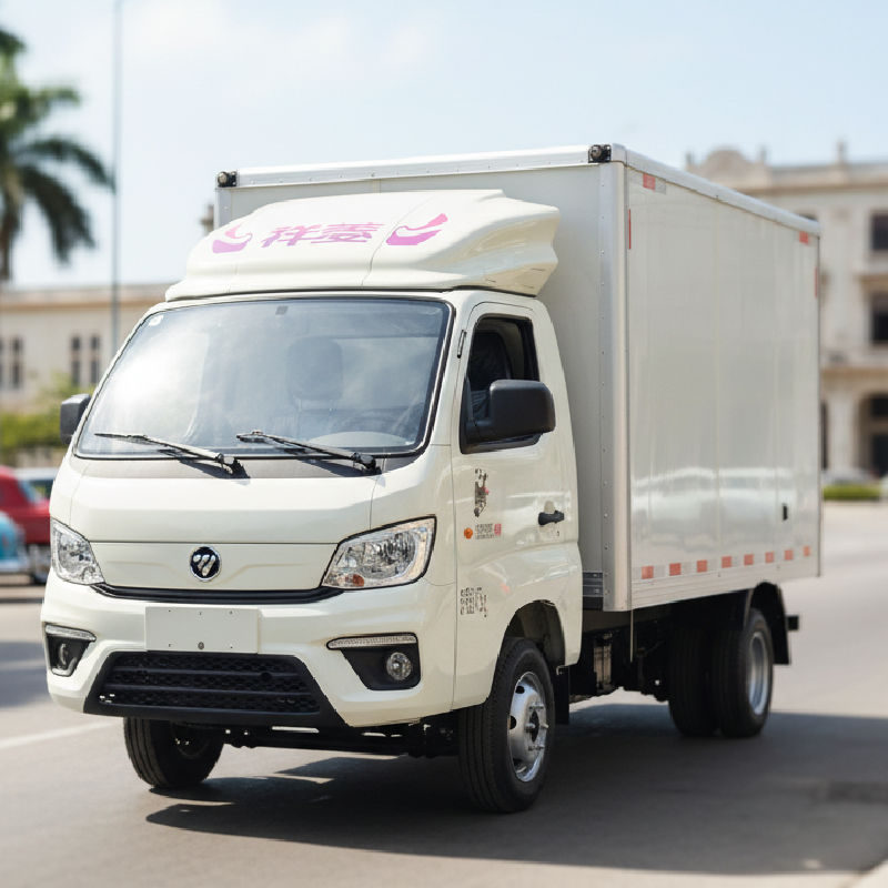 FOTON M2 Furgón de carga