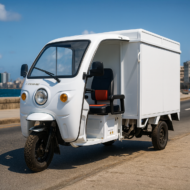 Triciclo Eléctrico de carga cerrado