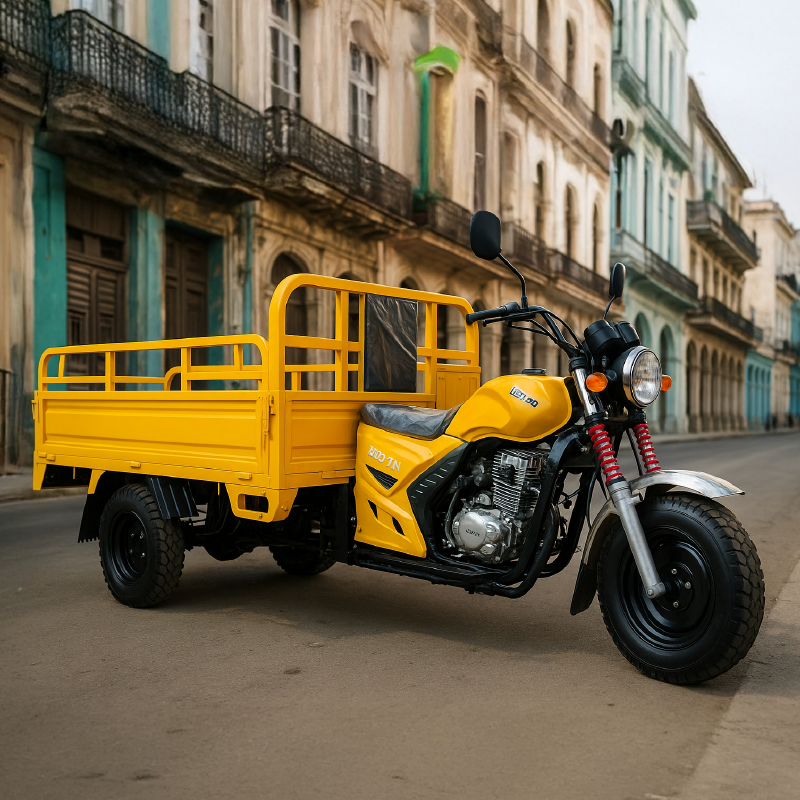 Triciclo de combustión de carga 1T
