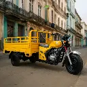 Triciclo de combustión de carga 1T