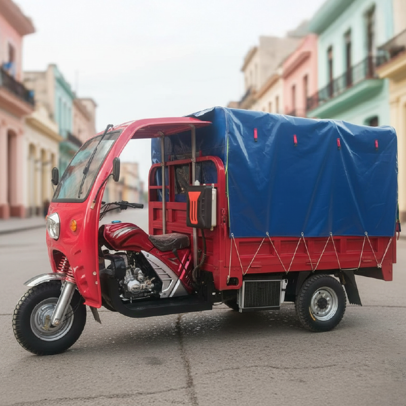 Triciclo de Combustión 10-12 pasajeros