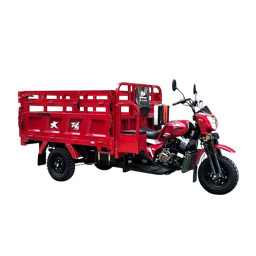 [NH08TC250CC3T1] Triciclo de combustión de carga 3T