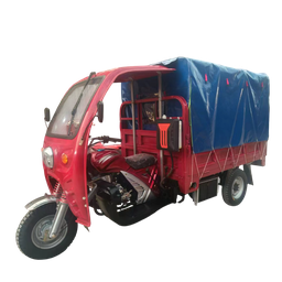 [NH08TC12P1] Triciclo de Combustión 10-12 pasajeros