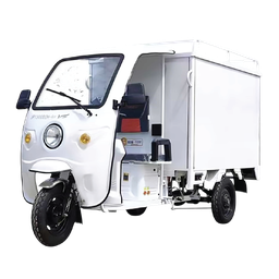 [NH08TCCT1] Triciclo Eléctrico de carga cerrado